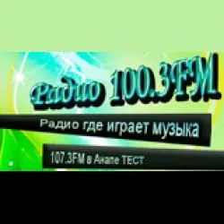 Радио 100.3 FM