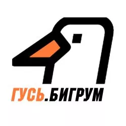 Радио Гусь Бигрум